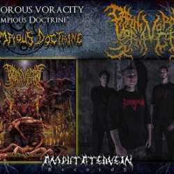 Carnivorous Voracity nuevo disco «The Impious Doctrine» en agosto