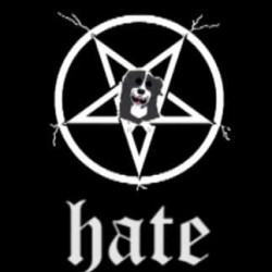 Pinotxet teaser de «Hate»