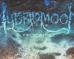 Hybrid Moon busca vocalista