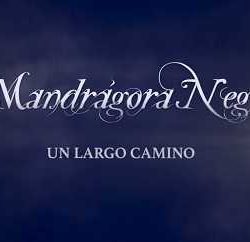 Mandrágora Negra videoclip de «Un Largo Camino»