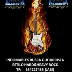 Indomables buscan guitarrista
