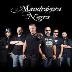 Mandrágora Negra buscan componentes