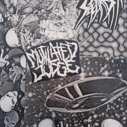 Mutilated Judge escucha y descarga su split con Sete Star Sept