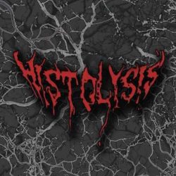 Histolysis siguen buscando guitarrista