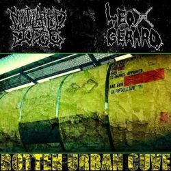 Mutilated Judge nuevo split «Rotten Urban Cuve»