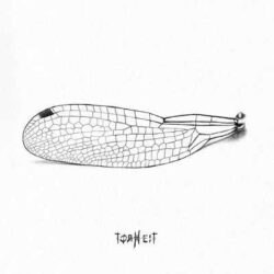 Torheit escucha su disco de debút