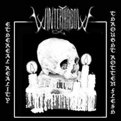 Wintershadow regresan con «Ethereal Reality Throught Rotten Flesh»