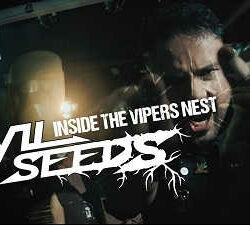Nuevo videoclip de Evil Seeds