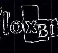 Floxbin estrenan tema