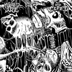 Split de Mutilated Judge y The Crypt