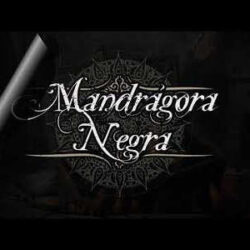 Mandrágora Negra versión de Medina Azahara
