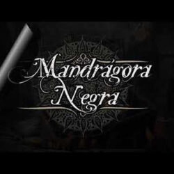 Mandrágora Negra versión de «Tritón»