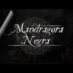 Mandrágora Negra versión de «Mata A La Bestia»