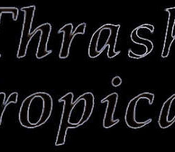 Thrash Tropical banda añadida