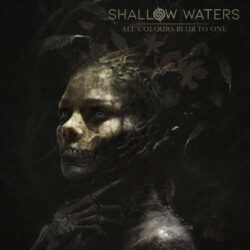 Shallow Waters nuevo disco
