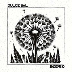 Indrid lyric-video de «Dulce Sal»