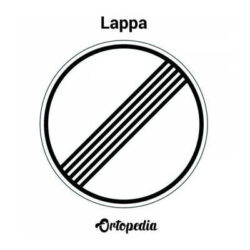 Lappa nuevo trabajo «Ortopedia»